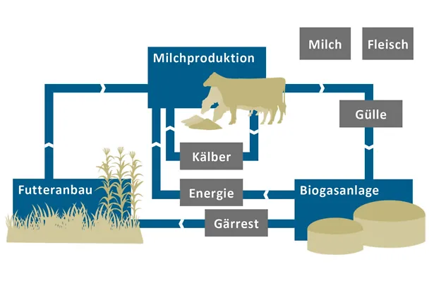 Amprenta de carbon Amprenta de carbon